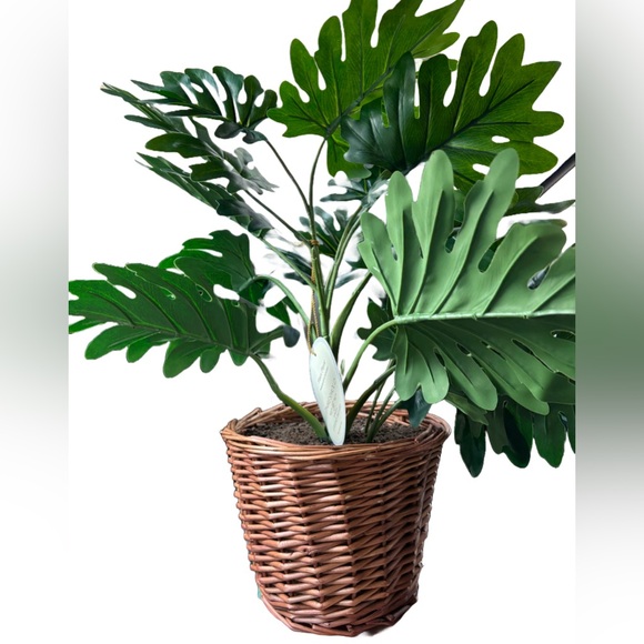 STUDIO MCGEE NWT faux philodendron decorative plant in basket -18” - Picture 9 of 9